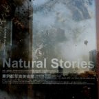 畠山直哉展 Natural Stories